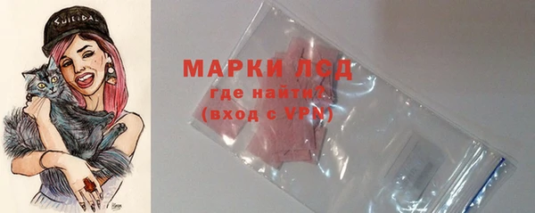 прущие грибы Арсеньев