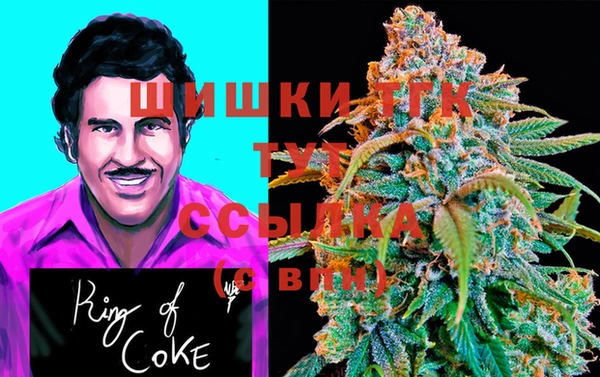 дживик Елизово