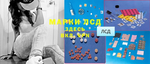 прущие грибы Арсеньев