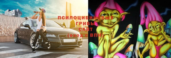 прущие грибы Арсеньев